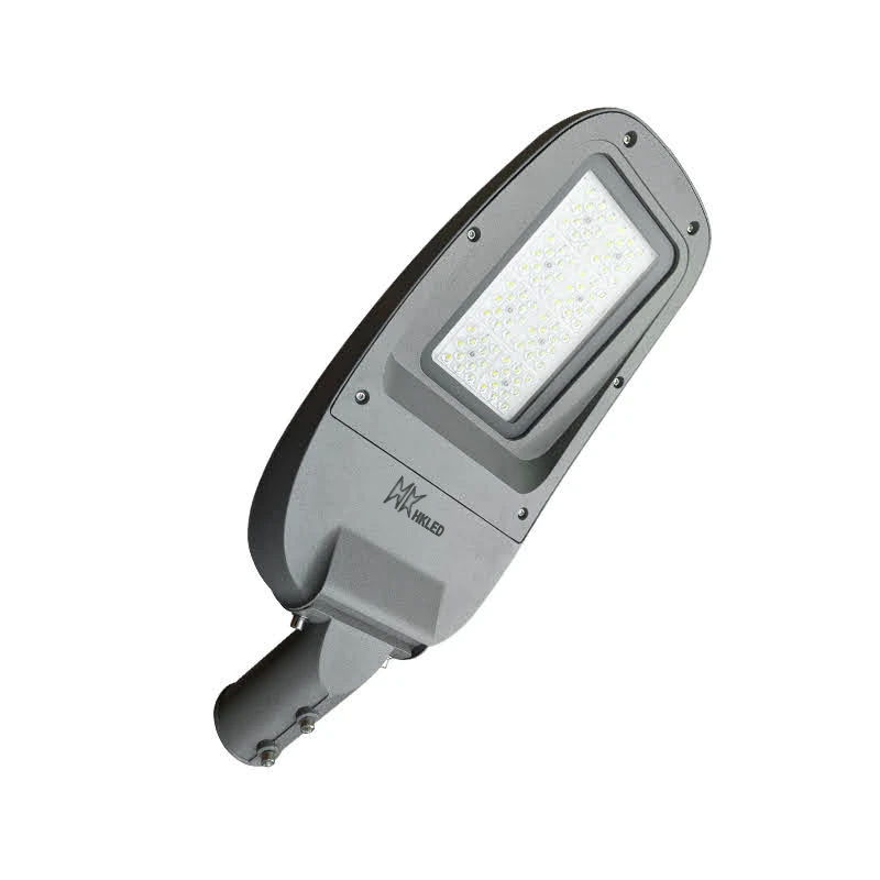 Đèn LED đường phố D20 chip LED SMD - Công suất 100W